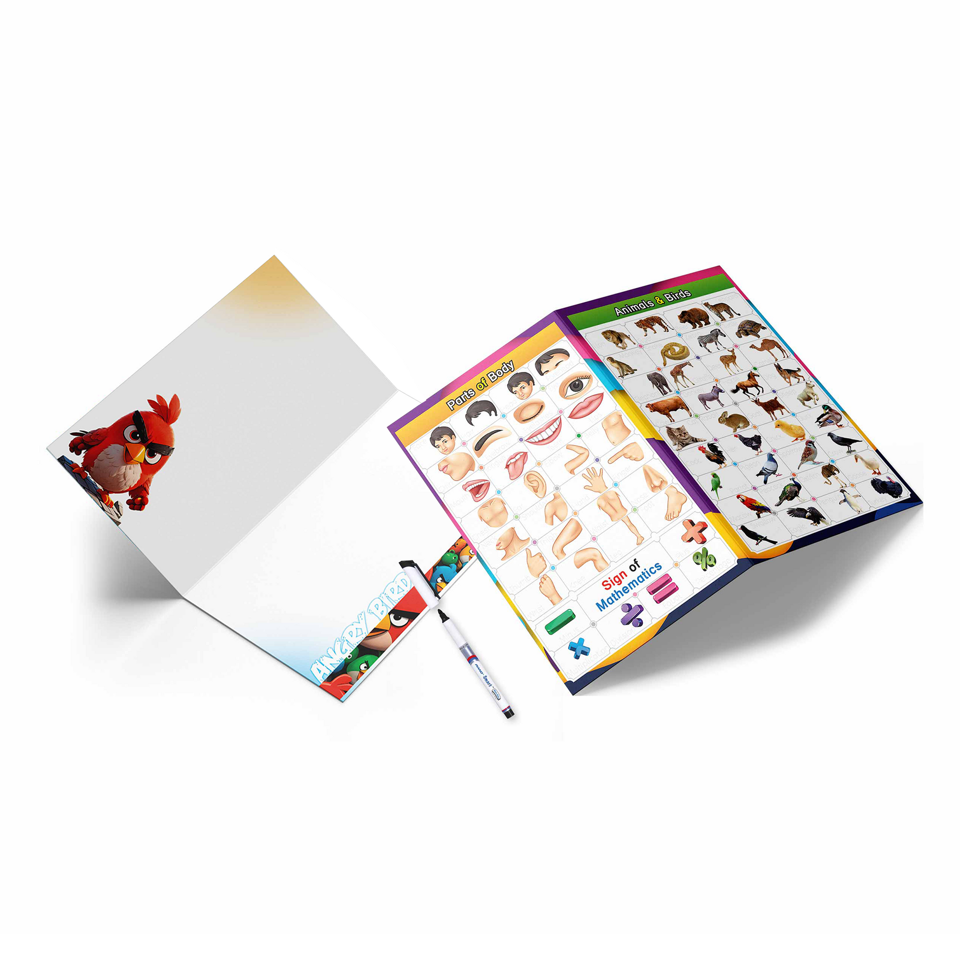 Angry Bird Educational Whiteboard