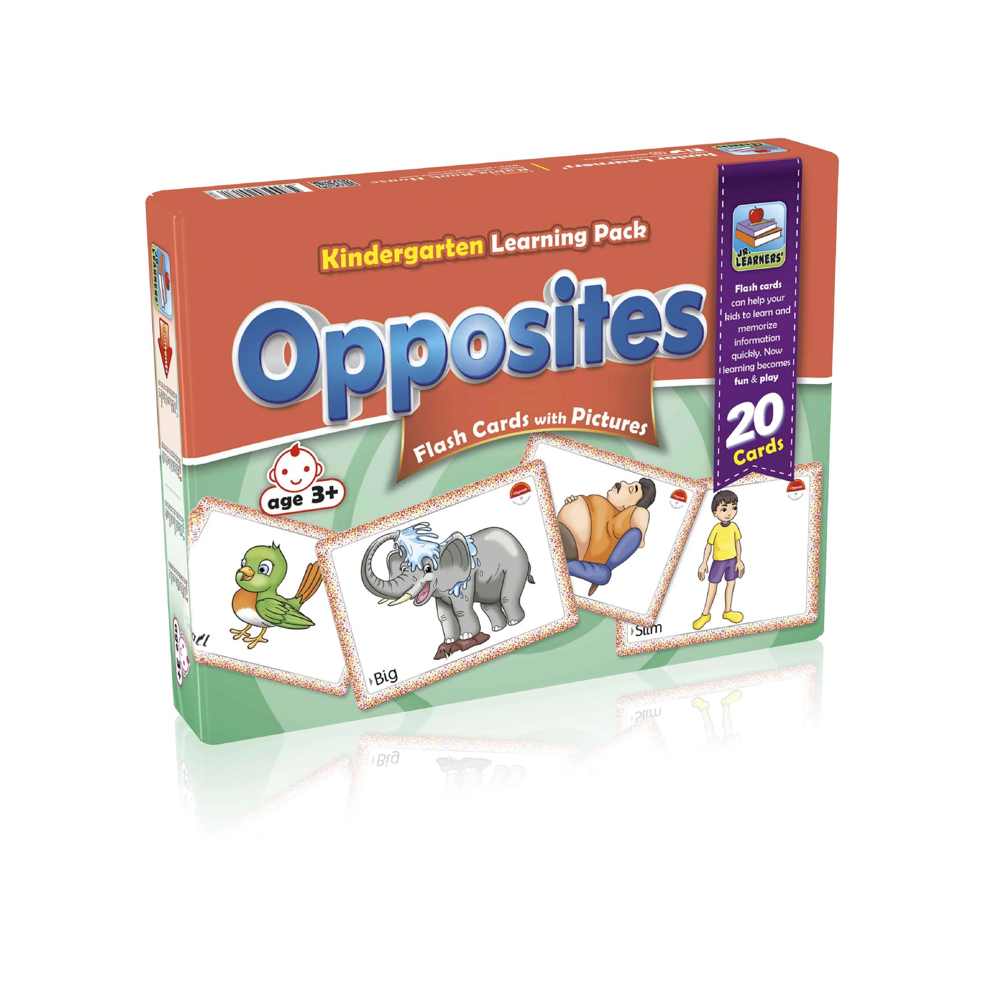 Large Flash Cards