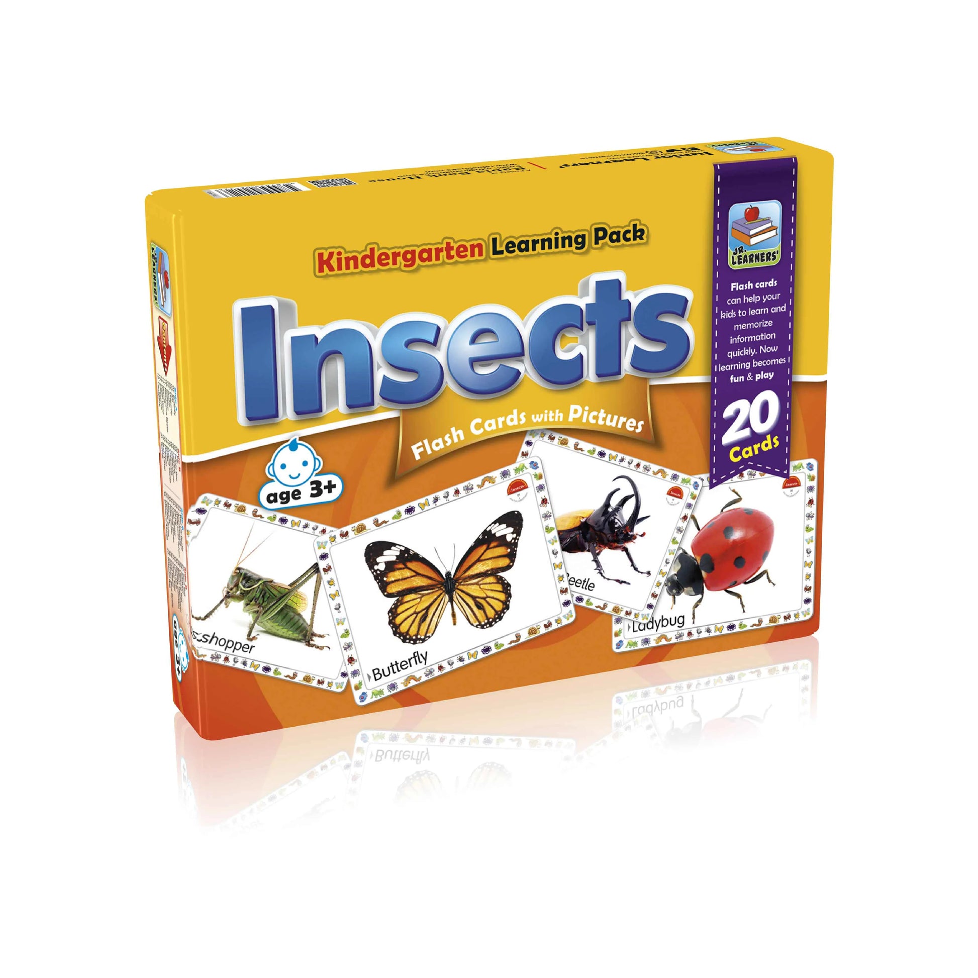 Large Flash Cards