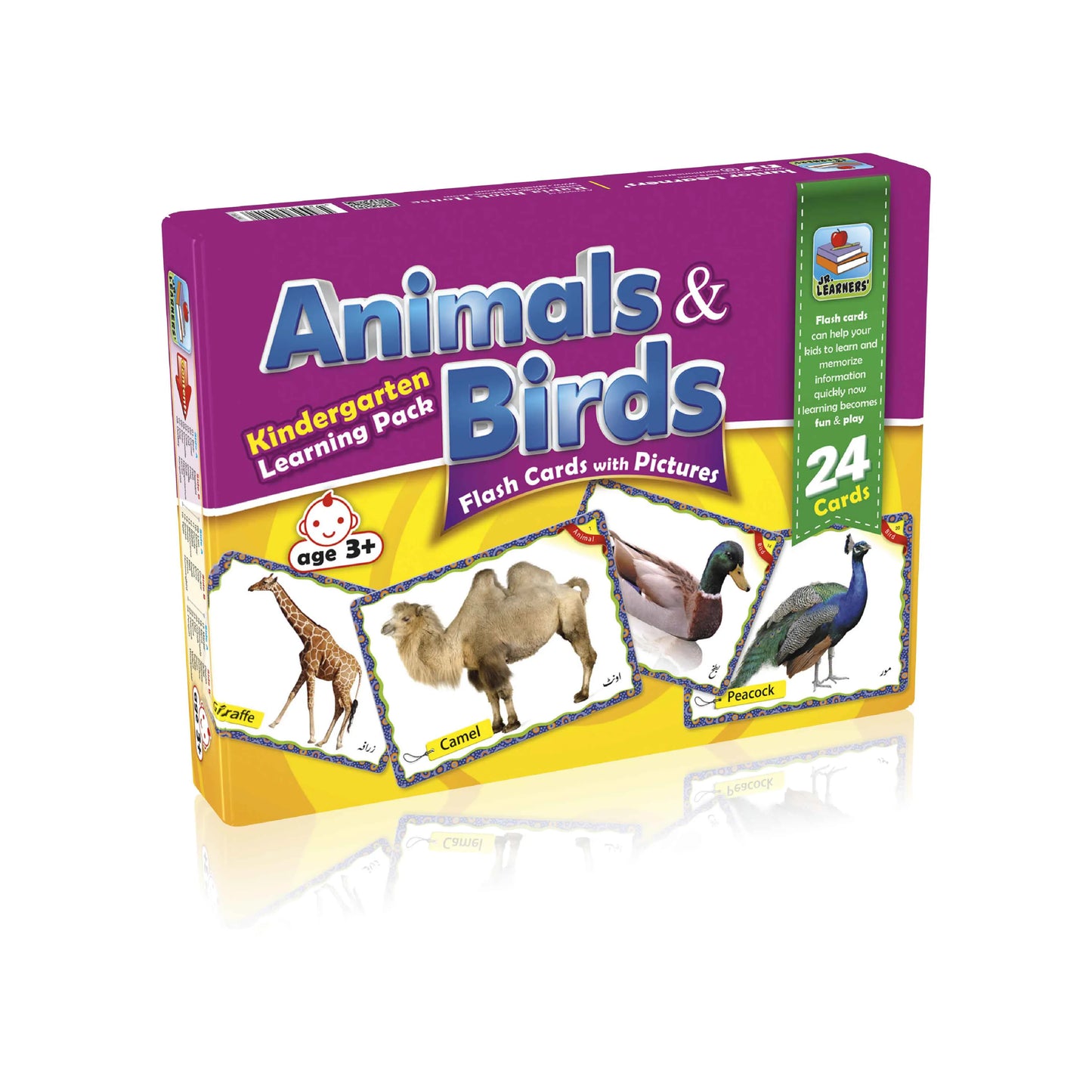 Large Flash Cards