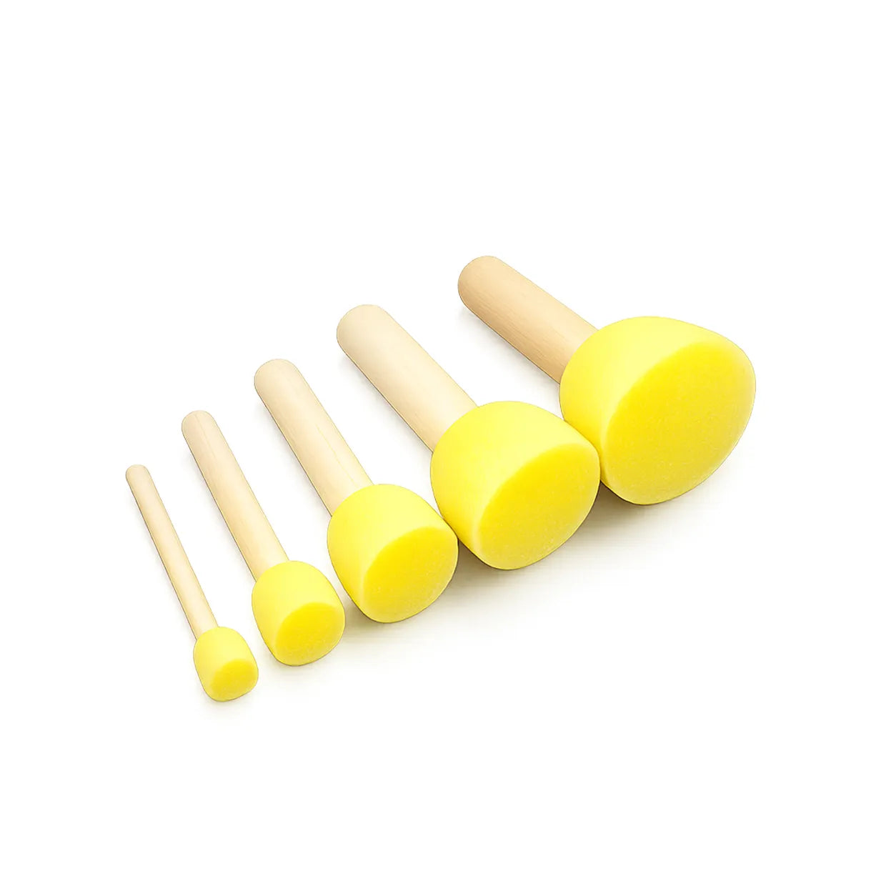 Round Sponge Brush Set | 5 Sizes |