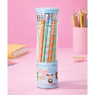 24 graphite pencils
